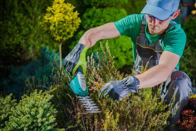 landscaping services Bay St. Louis